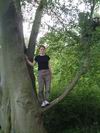 Wandlebury - Kathryn in a tree