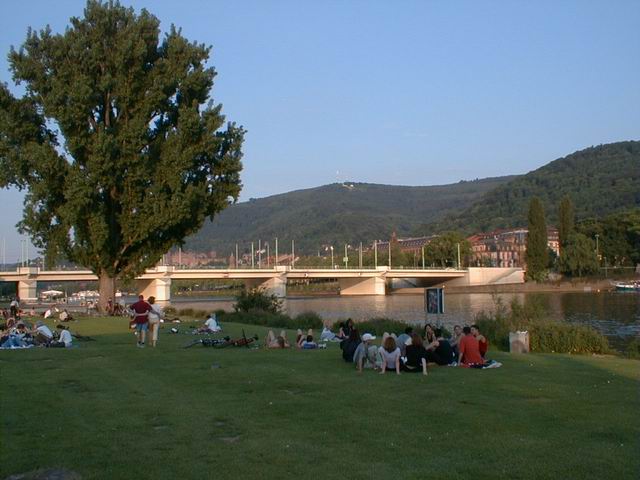 Neckarwiesen am Abend