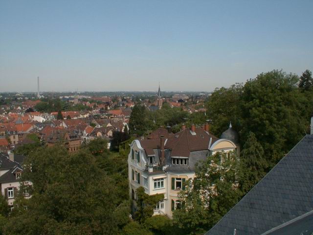 Blick vom Physikalischen Institut