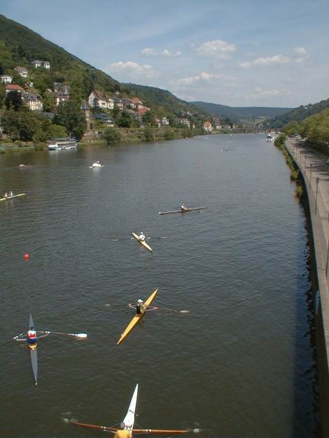 Ruderer auf dem Neckar