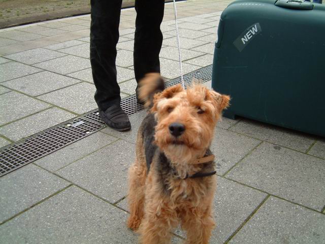 Rezzo am Bahnhof Freiburg