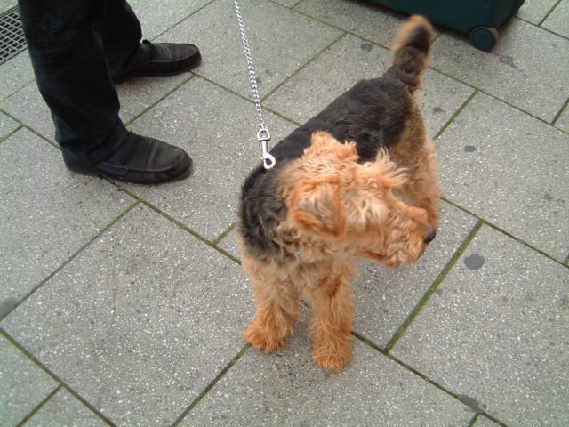 Rezzo am Bahnhof Freiburg