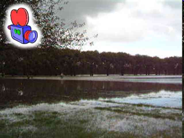 Floods - Jesus Green