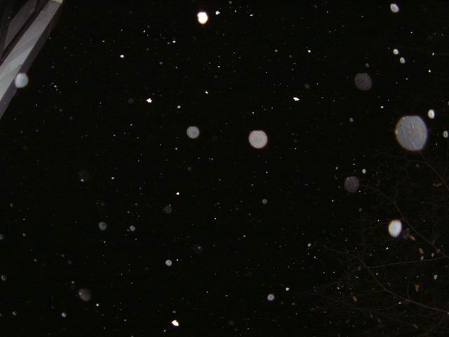 First Snow in Cambridge