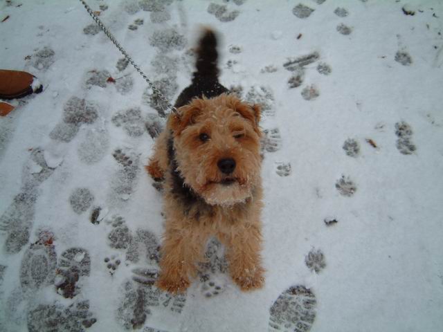 Winterspaziergang: Rezzo