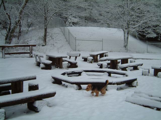 Winterspaziergang: Rezzo