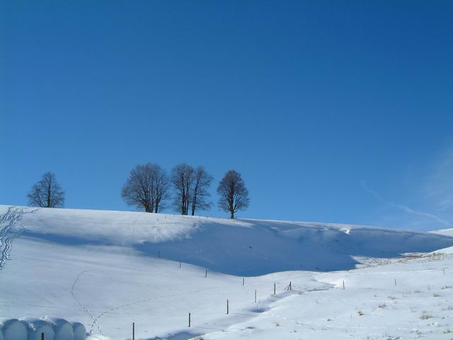 Winter auf dem Schauinsland