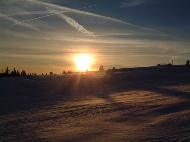 Blick in die Abendsonne