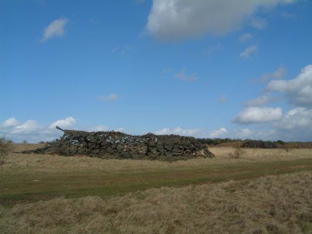 Salisbury Plain - Camouflaged Gun