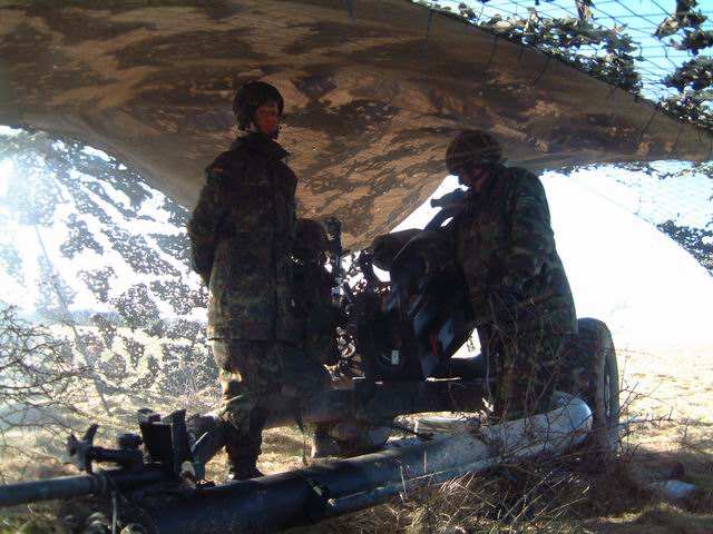 Salisbury Plain - Gun Fired