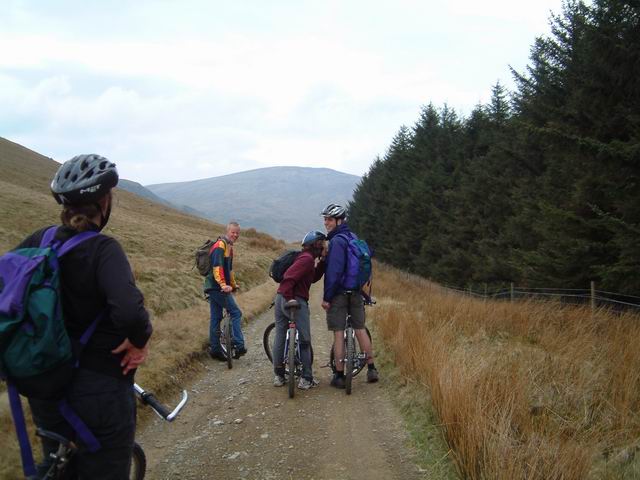 On the Old Coach Road