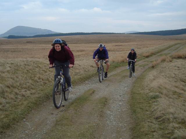 On the Old Coach Road