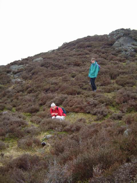 Ducks, Maxime and Patrick