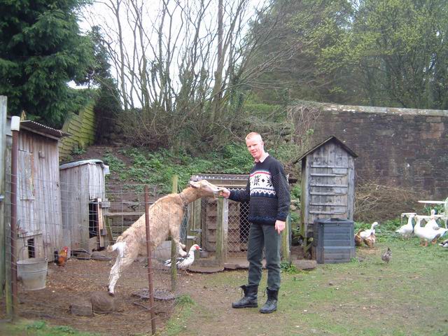 Konrad feeding the goat