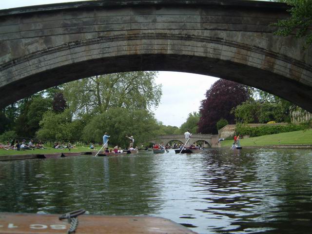 Punting - At King