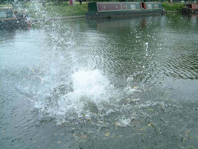 Catz 3rd Men - Vafa (3)