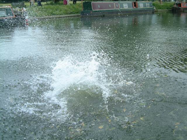 Catz 3rd Men - Vafa (4)