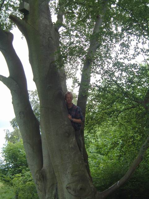 Wandlebury - Konrad in a tree