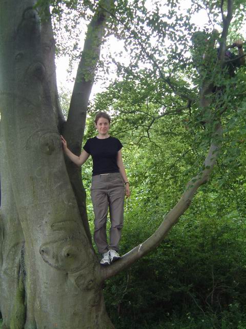 Wandlebury - Kathryn in a tree