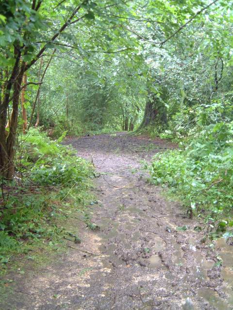 Path from Binsted to Arundel
