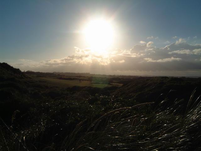 Sand dunes at Climping Beach